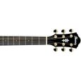 Ibanez AEG24II-TGB Westerngitarre Thumbnail 4
