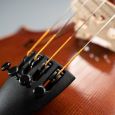 Gewa Viola Maestro 6 Antik 38,2 cm (spielfertig) inkl. Koffer Thumbnail 5