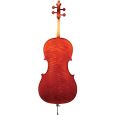 Gewa Cello Instrumenti Liuteria Maestro II A 3/4 Thumbnail 2