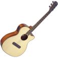 James Neligan Lismore LIS-MJCFI Mini-Jumbo Westerngitarre Thumbnail 1