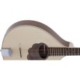 Gewa Irish Bouzouki Pro Natura Thumbnail 3