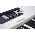Studiologic by Fatar Acuna 73 Thumbnail 3