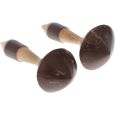 Terre Kokosnuss Maracas Thumbnail 2