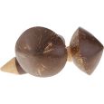Terre Kokosnuss Maracas Thumbnail 5