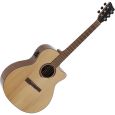 VGS BR-20 CE Belle Rose E-Akustikgitarre B-Ware