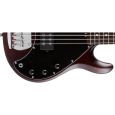 Sterling by Music Man SUB Ray 5 WS Bassgitarre Thumbnail 2