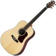Walden D810 Dreadnought Thumbnail 1