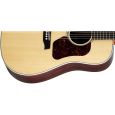 Walden D810 Dreadnought Thumbnail 2