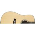 Walden D810 Dreadnought Thumbnail 3