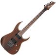 Ibanez RG721RW-CNF E-Gitarre Thumbnail 1