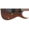 Ibanez RG721RW-CNF E-Gitarre Thumbnail 2