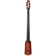 NS-Design NXT 4 Double Bass Sunburst Thumbnail 1