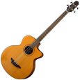 Stanford Big-Sur fretless Akustikbass Thumbnail 1