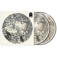 Serato Dan Tippett 12" Picture Disk Control Vinyl Thumbnail 4
