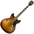 Washburn HB36 E-Gitarre Thumbnail 1
