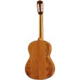 Hanika 56 PF/AK15+ Classical Guitar Thumbnail 2