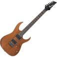 Ibanez RG421-MOL E-Gitarre Thumbnail 1