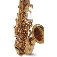 Roy Benson Bb-Sopran Saxophon SG-302 Thumbnail 5