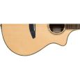 Breedlove Stage Concert BRSGC22CE Westerngitarre Thumbnail 3