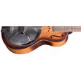 Paramount Little Wing Tiger Maple Thumbnail 2