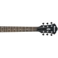 Ibanez AMF73 TGF E-Gitarre Thumbnail 4