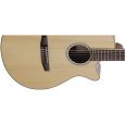 Ibanez AEG10NII-NT Konzertgitarre Sattelbreite 46 mm Thumbnail 4