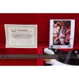 Hallmark Johnny Ramone Signature White E-Gitarre Thumbnail 9