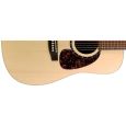 Norman Encore B20 Westerngitarre Thumbnail 2