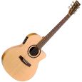 Norman Encore B20 CW Folk Presys Westerngitarre Thumbnail 1