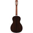 Alvarez AP70 SB Westerngitarre inkl. Gigbag Thumbnail 2