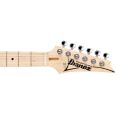 Ibanez AT10P-SB E-Gitarre Thumbnail 4