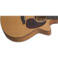 Furch G-20 CM mit Cutaway Westerngitarre Thumbnail 3