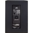 Peavey DM 115 SUB Thumbnail 4