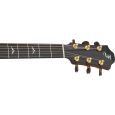 Furch G-23 SR Westerngitarre Thumbnail 5