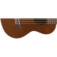 Lanikai LU-21TEK Tenor-Ukulele Thumbnail 2