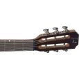 James Neligan Lismore LIS-PFI Parlor Westerngitarre Thumbnail 4