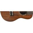 Lanikai Curly Koa CKTU-C Konzert-Ukulele Thumbnail 2