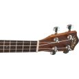 Lanikai Curly Koa CKTU-C Konzert-Ukulele Thumbnail 4