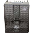 Acus ONE-6T Black für akustische Gitarre Thumbnail 2