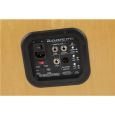 Fender Acoustic Pro 200 230V EU Thumbnail 6