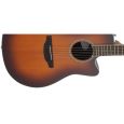 Ovation CS24-1-G Celebrity Tradition Westerngitarre Thumbnail 4