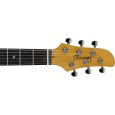 Ibanez TM302-IV Talman E-Gitarre Thumbnail 4