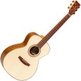 Lakewood M-38 Custom inkl. Koffer und L.R. Baggs Anthem Thumbnail 1