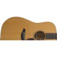 Furch D-20 CM E L.R. Baggs Anthem Westerngitarre Thumbnail 4