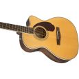 Fender PM-3 STD Triple O NAT Thumbnail 4
