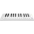 CME Xkey Air 25 Thumbnail 2