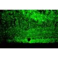 Laserworld Laser GS-60 G move Thumbnail 6