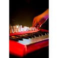 Arturia MiniBrute RED Thumbnail 7