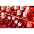 Arturia MicroBrute RED Thumbnail 9