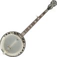 Fender Deluxe Concert Tone 58 5-String Banjo Thumbnail 1